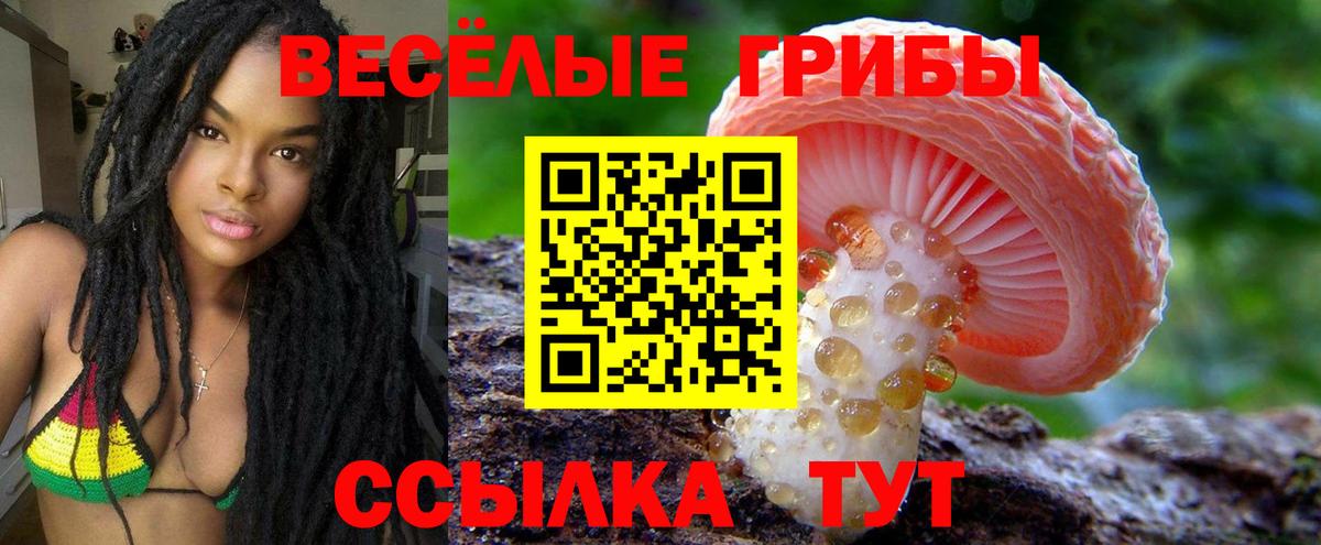 Псилоцибиновые грибы Psilocybine cubensis Севастополь